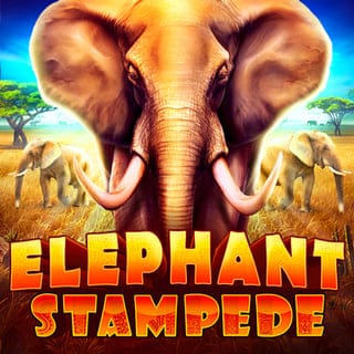 Elephant Stampede game cover
